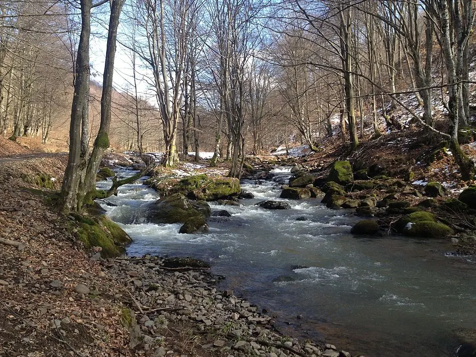 Râul Tur